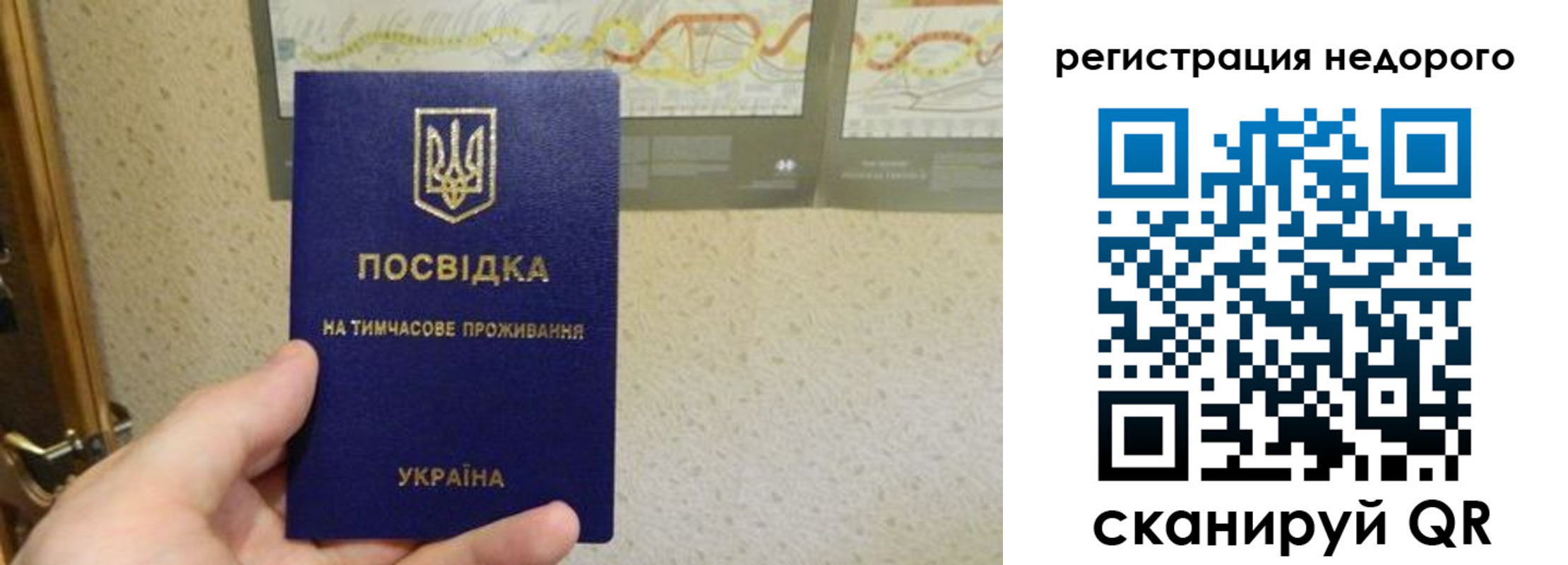 прописка для работы в Славгороде